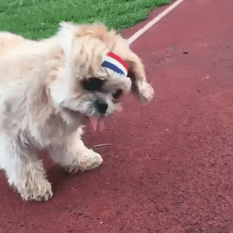 Funny Pictures: funny gifs Funny faces, Funny gif, Best funny videos