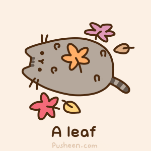 Cat Autumn GIF - Find & Share on GIPHY