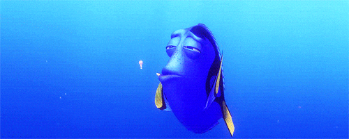 Buscando A Nemo Doris GIF - Find & Share on GIPHY