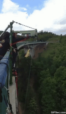 Bungee Jump GIFs - Find & Share on GIPHY
