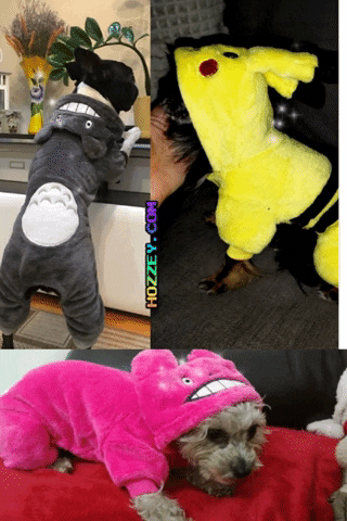 Pet Dog Clothes Winter Warm Fleece Chihuahua Coat Jackets Puppy Cat Hoodies Costumes Pug French Bulldog Clothing XS-XXL