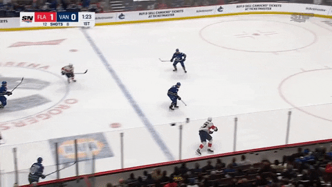 Florida Panthers Gustav Forsling GIF - Florida Panthers Gustav Forsling  Panthers - Discover & Share GIFs