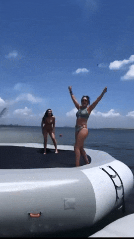 giphy.gif