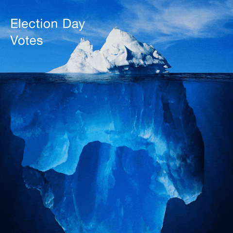 Right To Vote Election 2020 GIF by Creative Courage