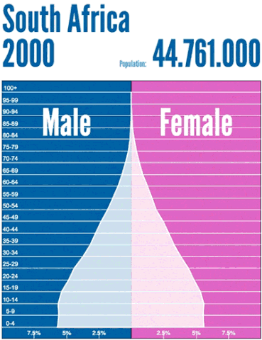 Population Pyramid GIFs - Get the best GIF on GIPHY