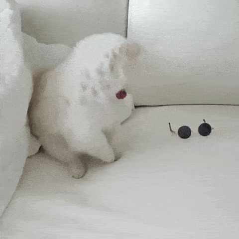 Deal With It Deal Animated GIF