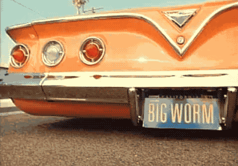 bouncing big worm caddy hydrolics