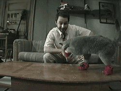 Charlie Day Cat GIF by Maudit