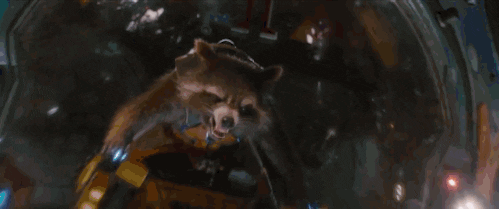 Rocket Raccoon | THE HUNTERS تقرير | The Biggest Idiots In The Universe  Giphy