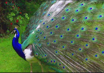 Related image