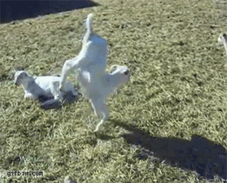 Begotten GIFs - Find & Share on GIPHY
