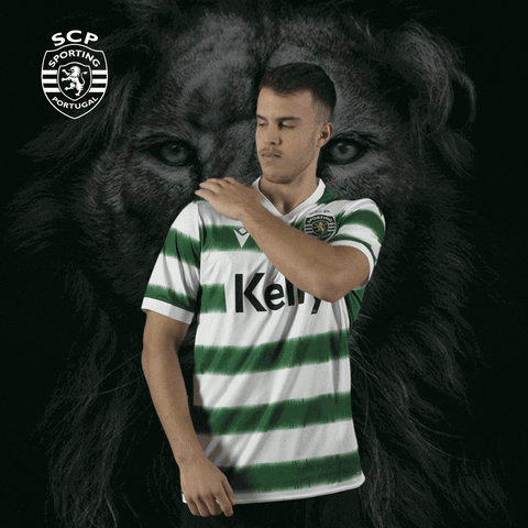 Andebol GIF by Sporting CP
