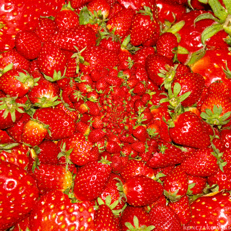 स्ट्रॉबेरी-Strawberry
