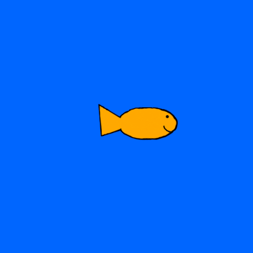 Big Fish Small Fish GIFs Find & Share on GIPHY