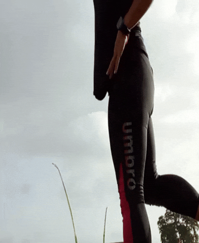 giphy.gif