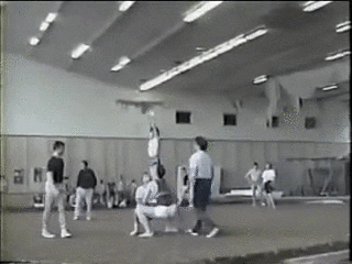 giphy.gif