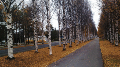 how to find a hohtokeilaus oulu how to find a hohtokeilaus oulu