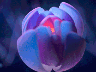 Pineal Gland GIF - Find & Share on GIPHY