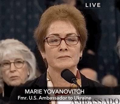 Marie Yovanovitch GIF - Find & Share on GIPHY