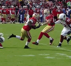 49Ers GIF - Find & Share on GIPHY