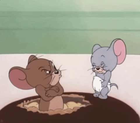 Tom And Jerry Nibbles GIF by moodman - Find & Share on GIPHY