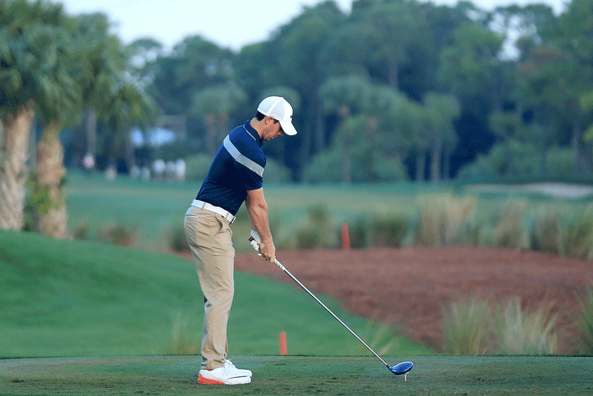 Rory Mcilroy Sport Gif By Ufc Find Share On Giphy vrogue.co