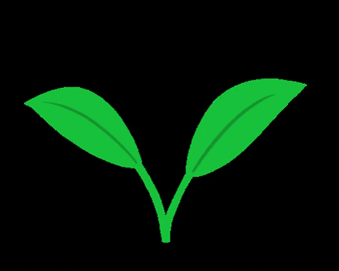 Green GIF