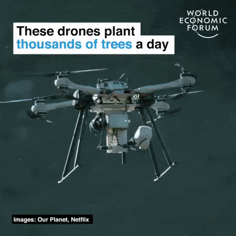 Drone planting trees in tech gifs