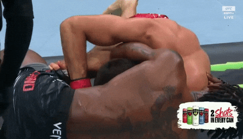giphy.gif