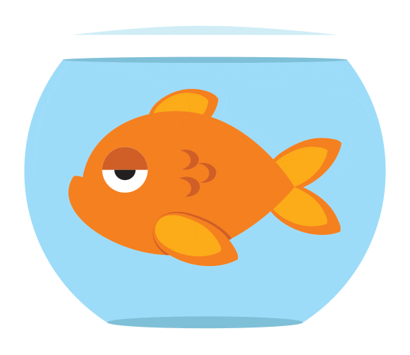 attention span of a goldfish