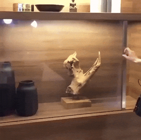Transparent OLED screen in tech gifs