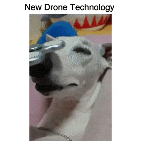 New drone technology in dog gifs