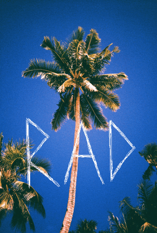 Rad Palm Tree GIF - Find & Share on GIPHY
