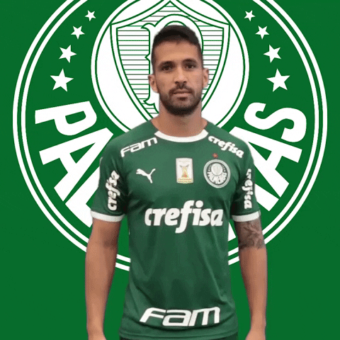 SE Palmeiras GIF