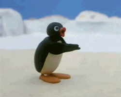 Pingüino moviendo sus patitas 