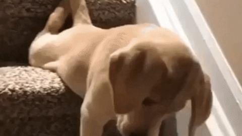 Stairs are hard when you are young