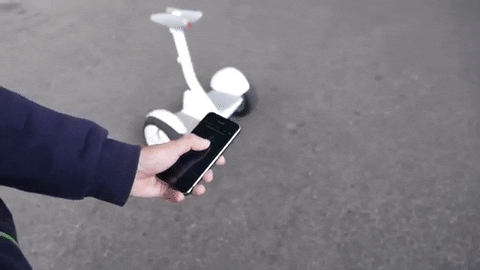 Segway Hoverboard miniPRO Remote Control