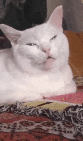 giphy-downsized.gif