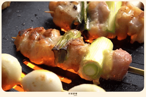 Mini Griller Cooking