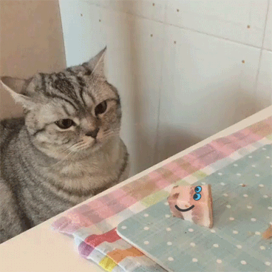 Como desenvolver o hábito de estudar: gif de um gato curioso mexendo em um pedaço de bacon em cima de uma mesa.