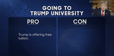 Donald Trump Television GIF