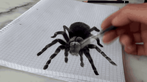 3d hyper painting realistic Drawing GIF Share on & Spider  GIPHY Find