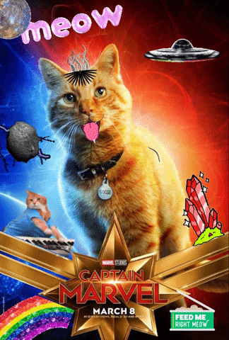 Marvel Cat GIF - Find & Share on GIPHY