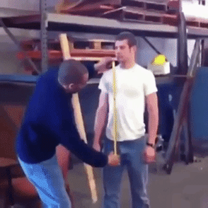 Perfect troll in funny gifs