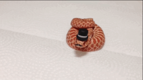 snake with apple animated gif