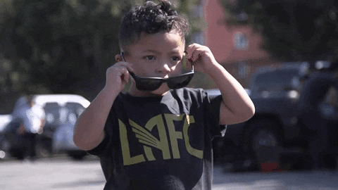 Los Angeles Fc Deal With It GIF by LAFC