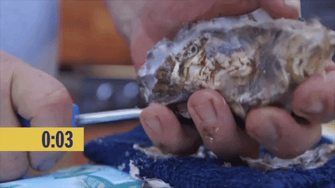 Hack My Life Hml402 GIF by truTV
