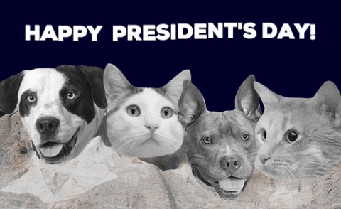 GIF by Nebraska Humane Society
