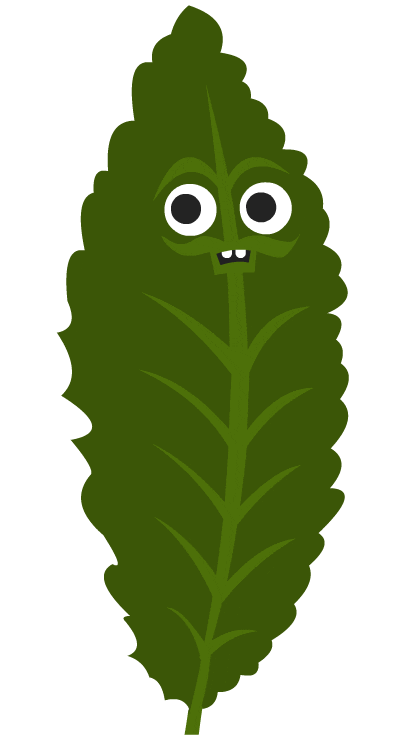 Image result for green leaf cartoon