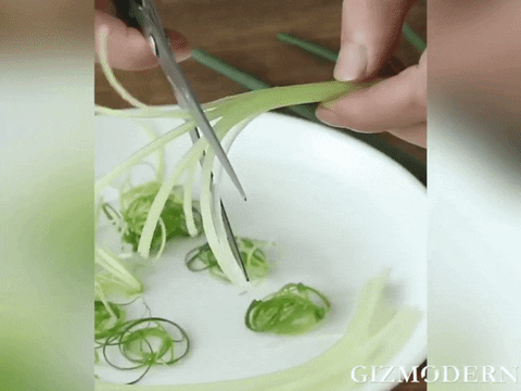 1pcs Green Onion Easy Slicer Shredder Plum Blossom Cut Green Onion Wire  Drawing Kitchen Superfine Vegetable